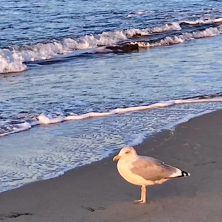 Achtern Diek 12b - 5 * 징스트